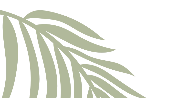 prancheta-background